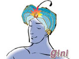gini2.jpg